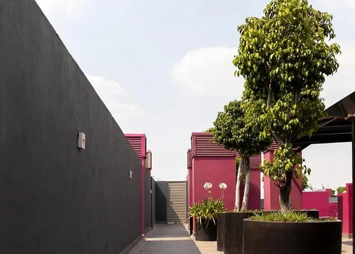 New Chic With Gym Access & Private Roof Apartment Mexico City