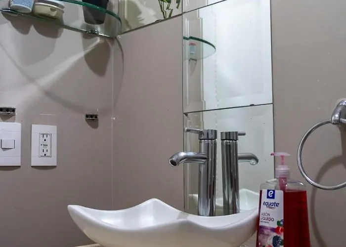 Apartment New Chic With Gym Access & Private Roof Mexico City