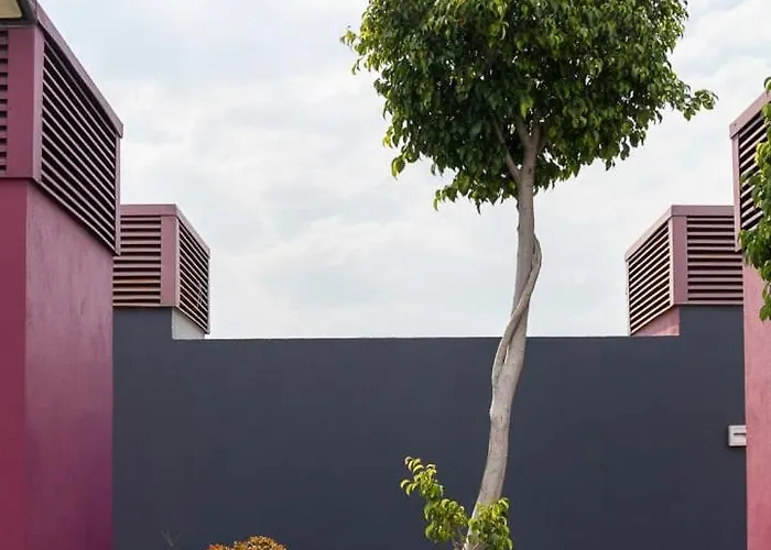 New Chic With Gym Access & Private Roof *