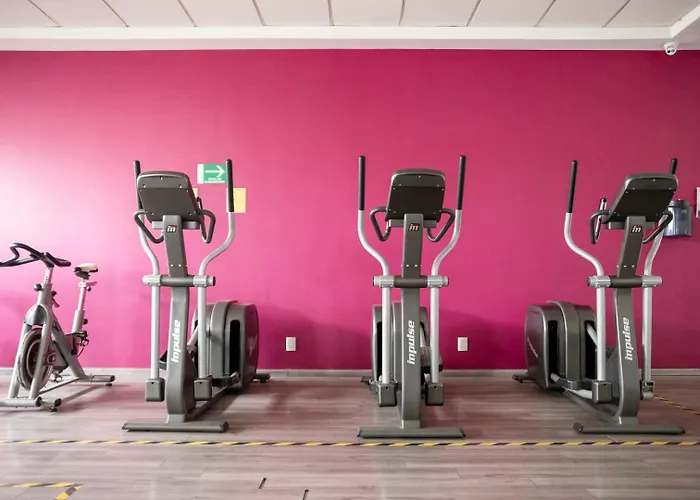 Apartment New Chic With Gym Access & Private Roof Mexico City