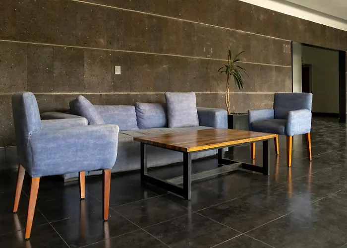 New Chic With Gym Access & Private Roof Apartment Mexico City